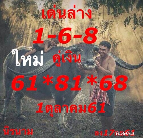 เลขเด่นล่าง1/10/61