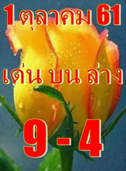 เลขเด่นบน -ล่าง1/10/61