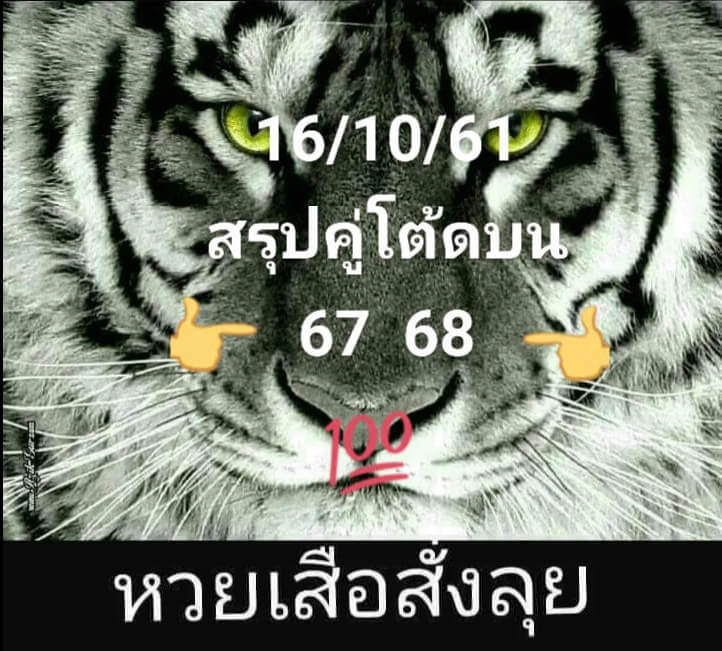 หวยเสือสั่งลุย16/10/61