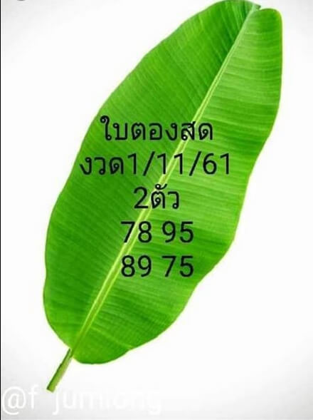 หวยใบตองสด1/11/61