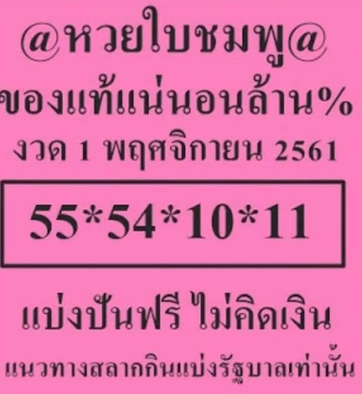 หวยใบชมพู1/11/61