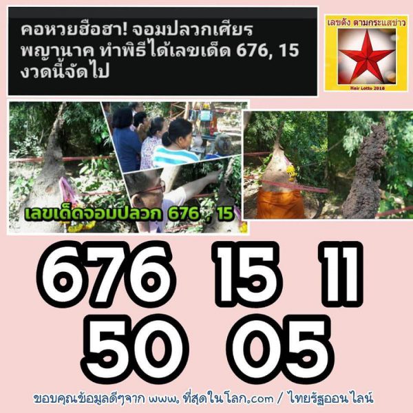 หวยจอมปลวก1/11/61