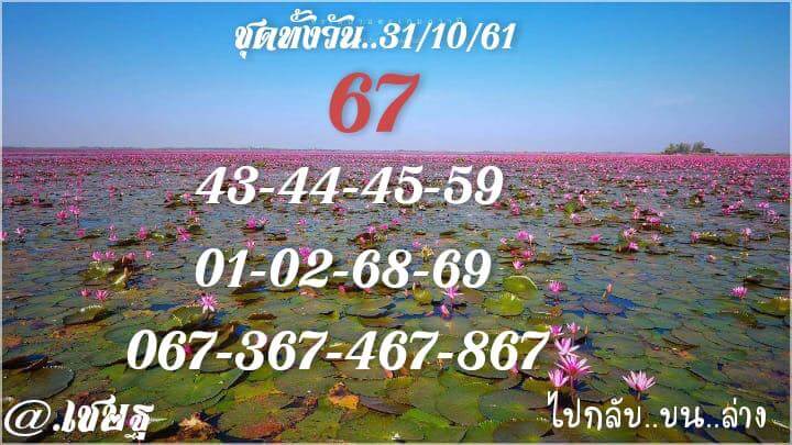 หวยหุ้นชุดทั้งวัน31/10/61 3