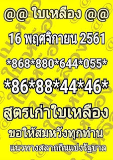 หวยใบเหลือง16/11/61