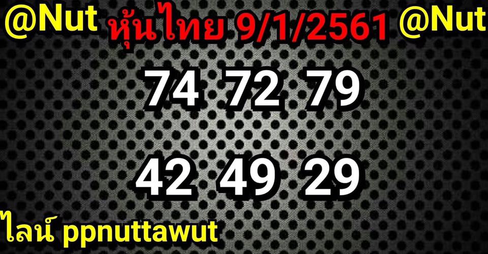 เลข ชุด หวย หุ้น เข้า ทุก วัน 9/1/61