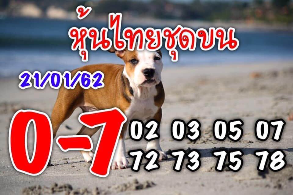 หวยหุ้นชุดทั้งวัน 21/1/62