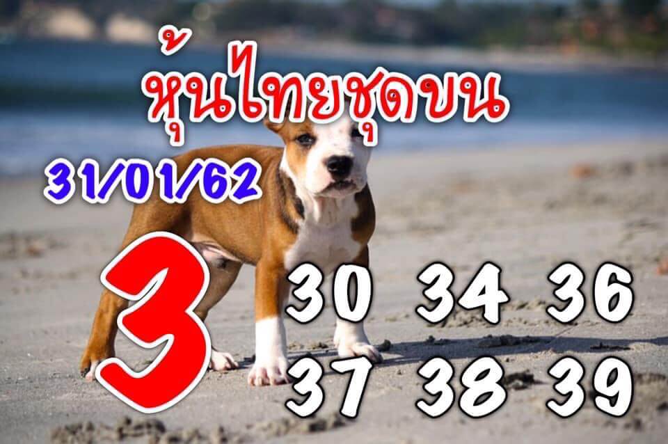 หุ้นเด่นวันนี้ หวยหุ้นวันนี้ 31/1/62