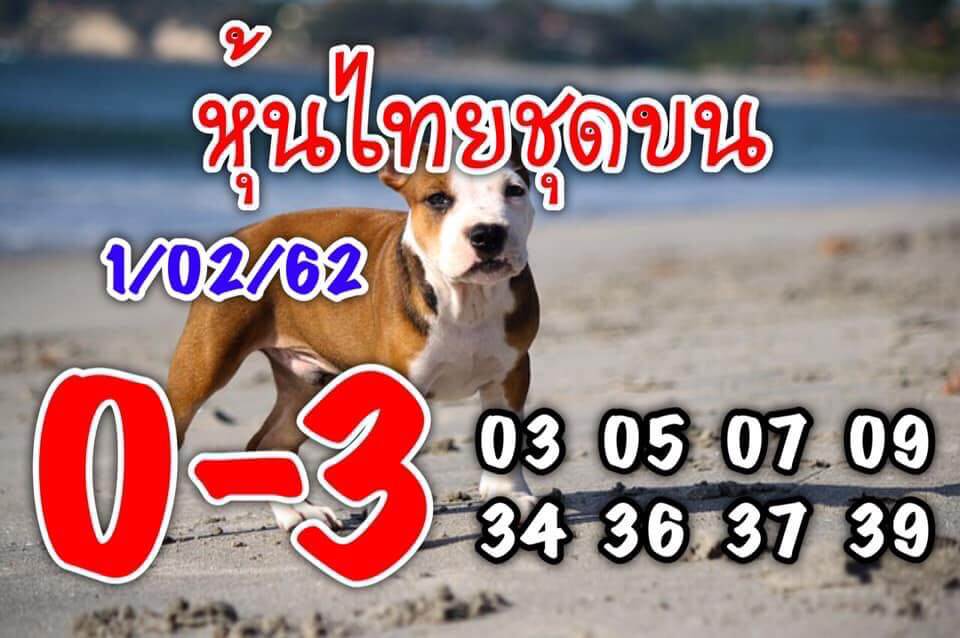 สูตร หวย หุ้น แม่น ๆ ฟรี หวยหุ้น 1/2/62