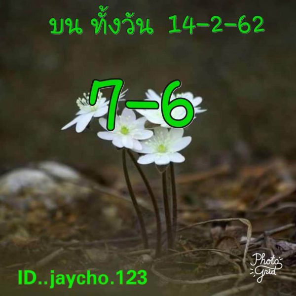 หวยหุ้น 14/2/62 1