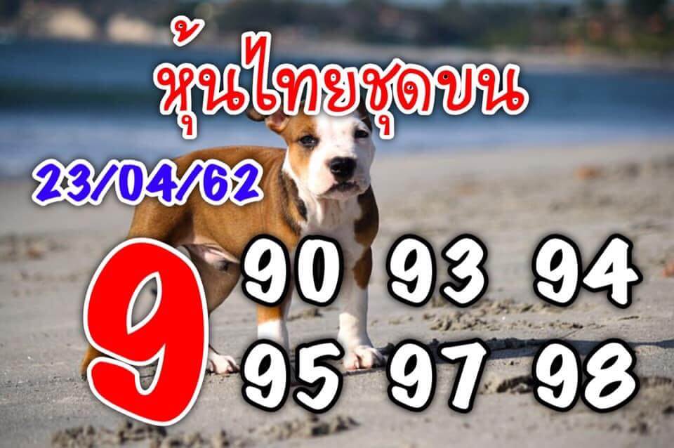 หวยหุ้น 23/4/62 2