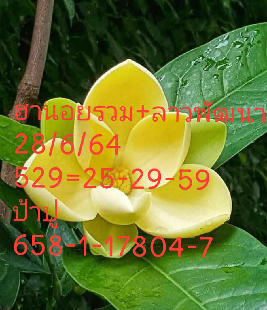 หวยฮานอย 28/6/64 ชุดที่ 1