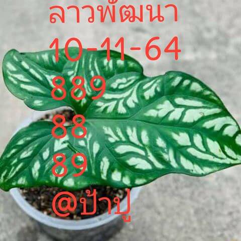 หวยลาว 10/11/64 ชุดที่ 2