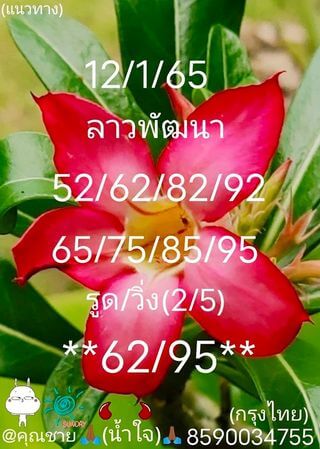หวยลาว 12/1/65 ชุดที่ 1
