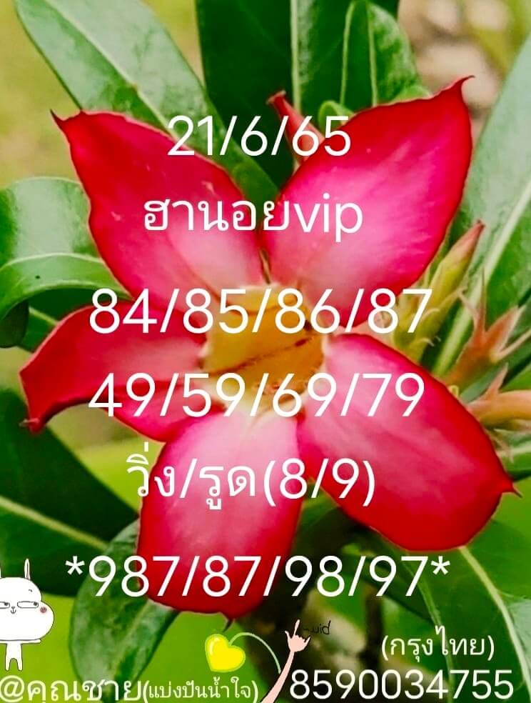 หวยฮานอย 21/6/65 ชุดที่ 3