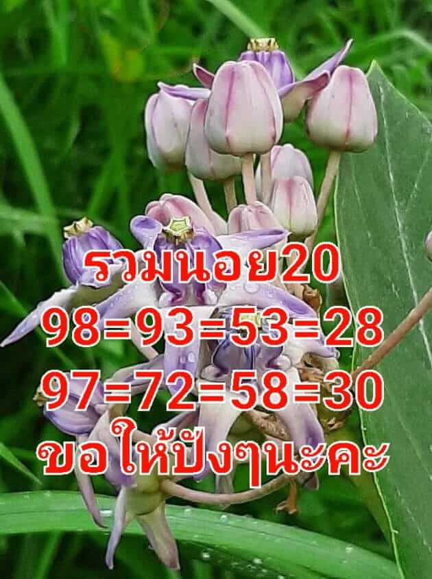 หวยฮานอย 20/7/65 ชุดที่ 4
