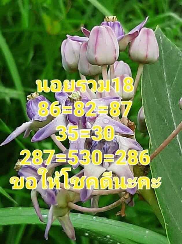 หวยฮานอย 18/7/65 ชุดที่ 2