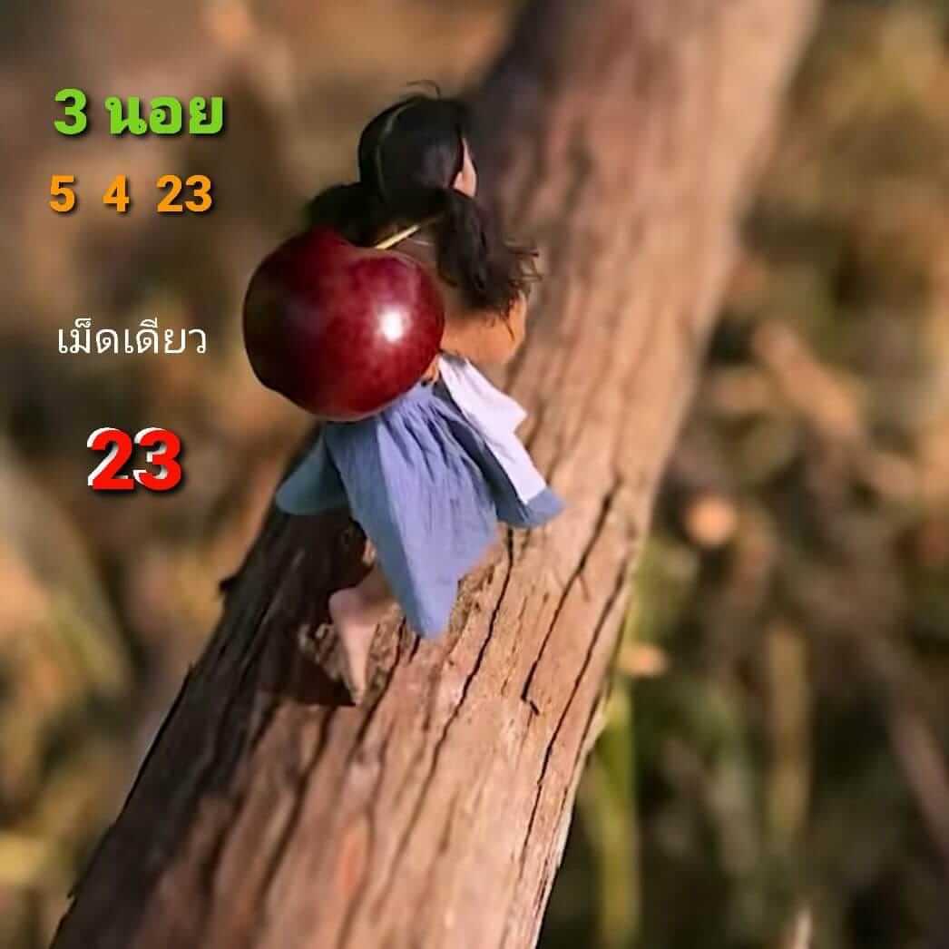 หวยฮานอย 5/4/66 ชุดที่ 7