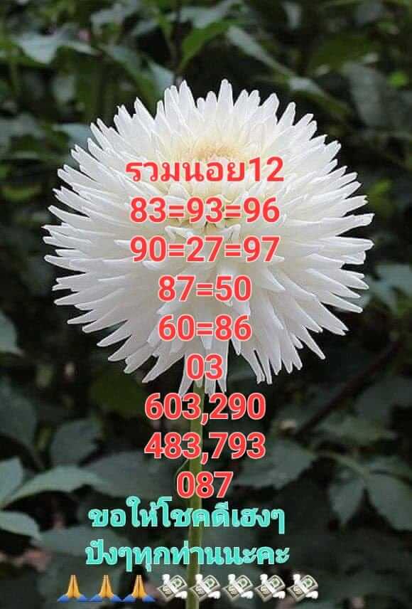 หวยฮานอย 12/4/66 ชุดที่ 8