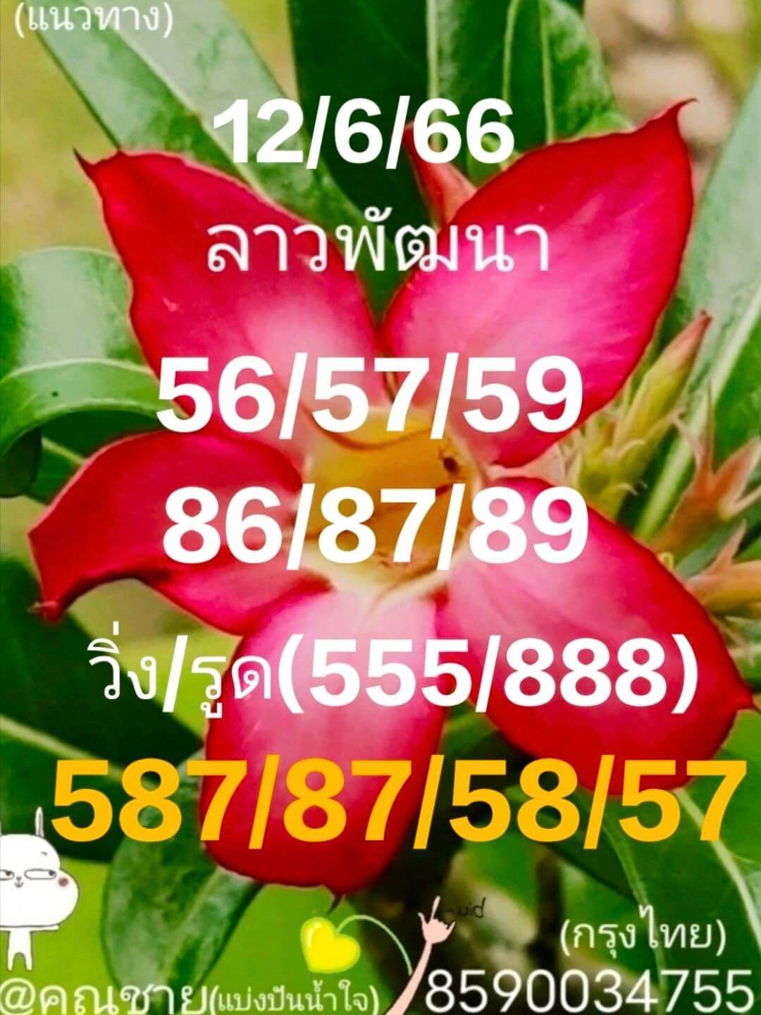 หวยลาว 12/6/66 ชุดที่ 8