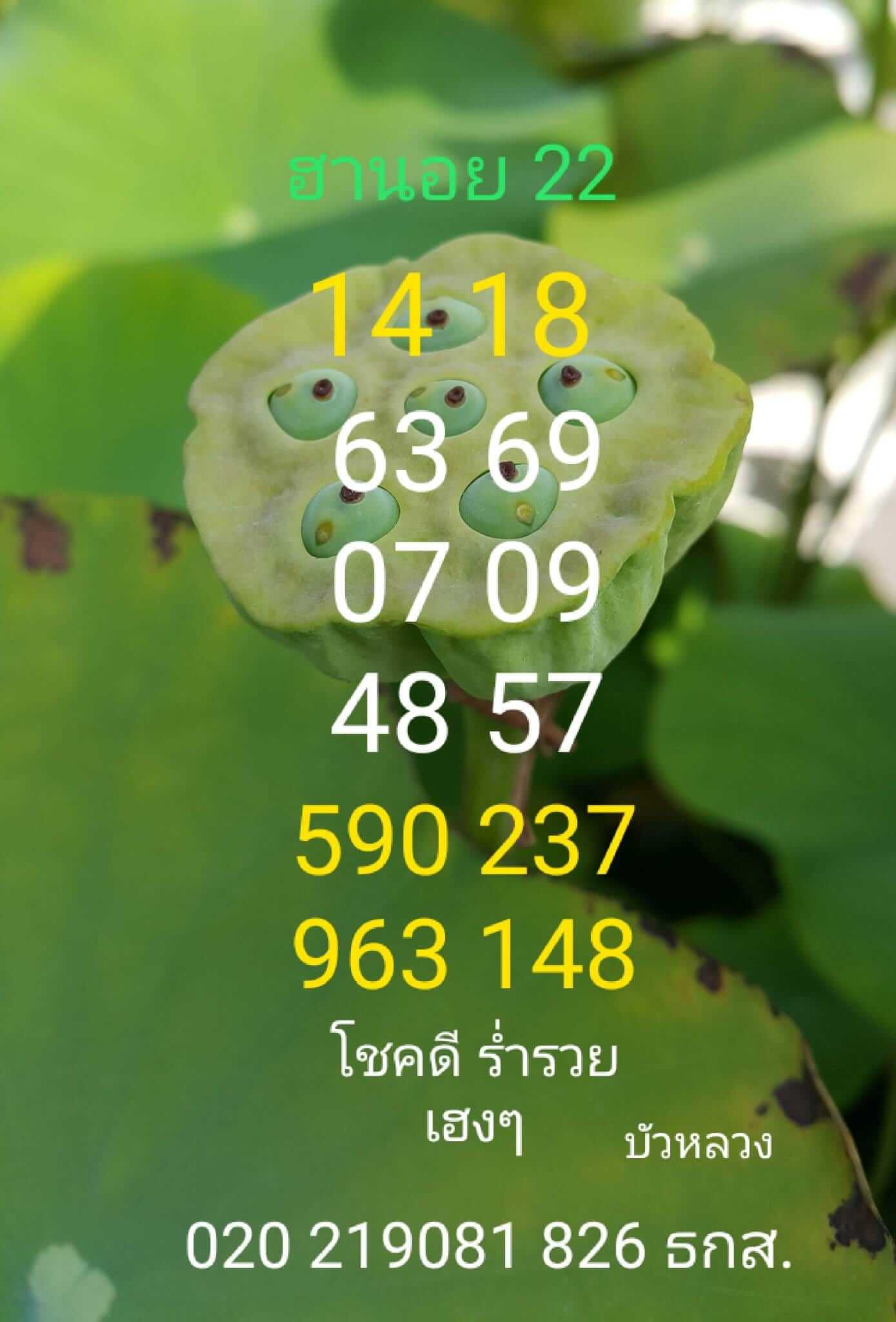 หวยฮานอย 22/6/66 ชุดที่ 10