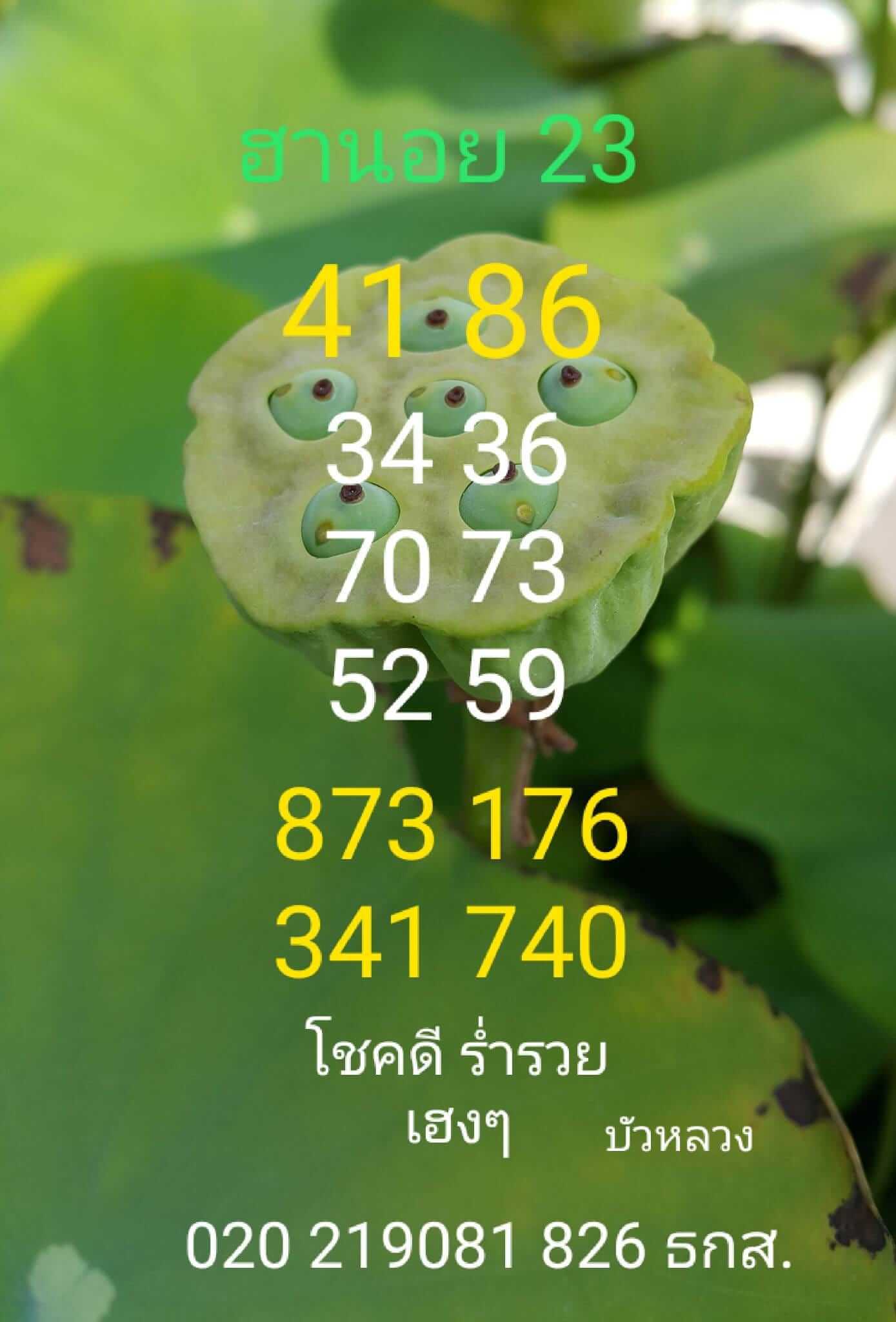 หวยฮานอย 23/6/66 ชุดที่ 10