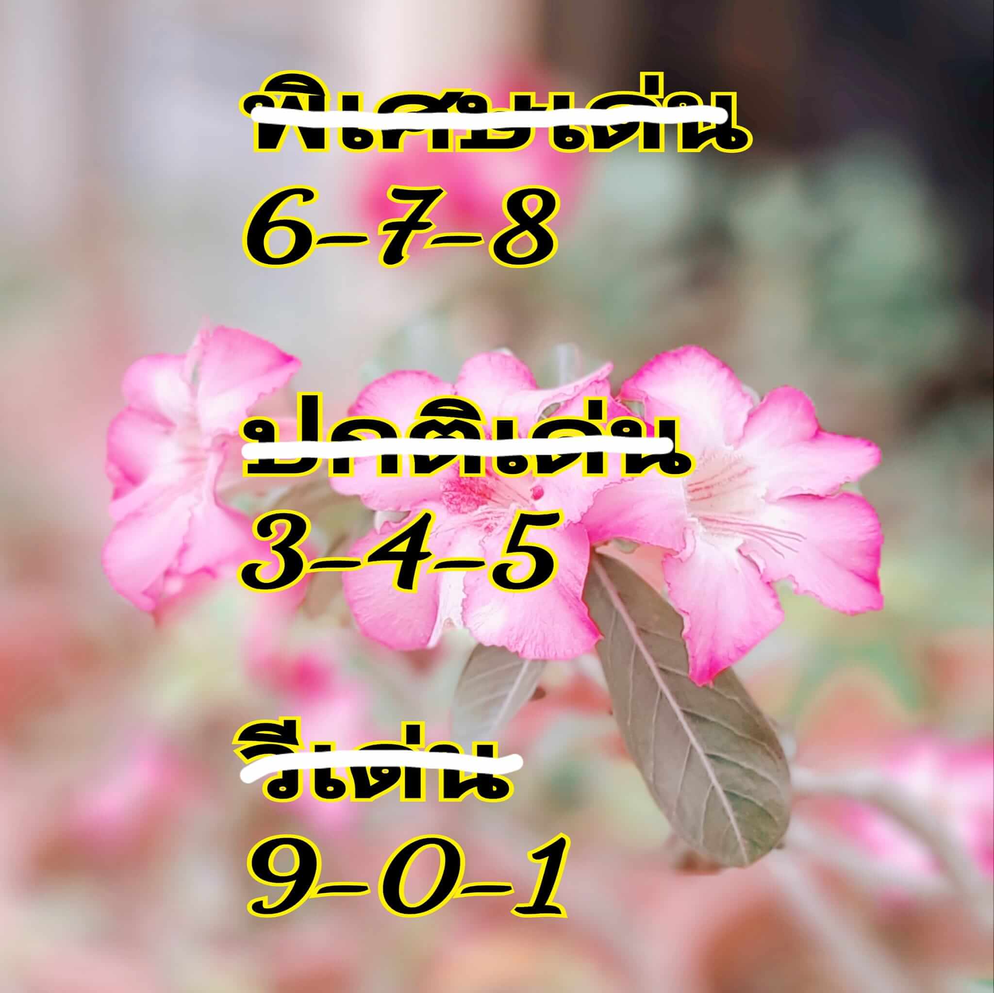 หวยฮานอย 14/12/67 ชุดที่ 10