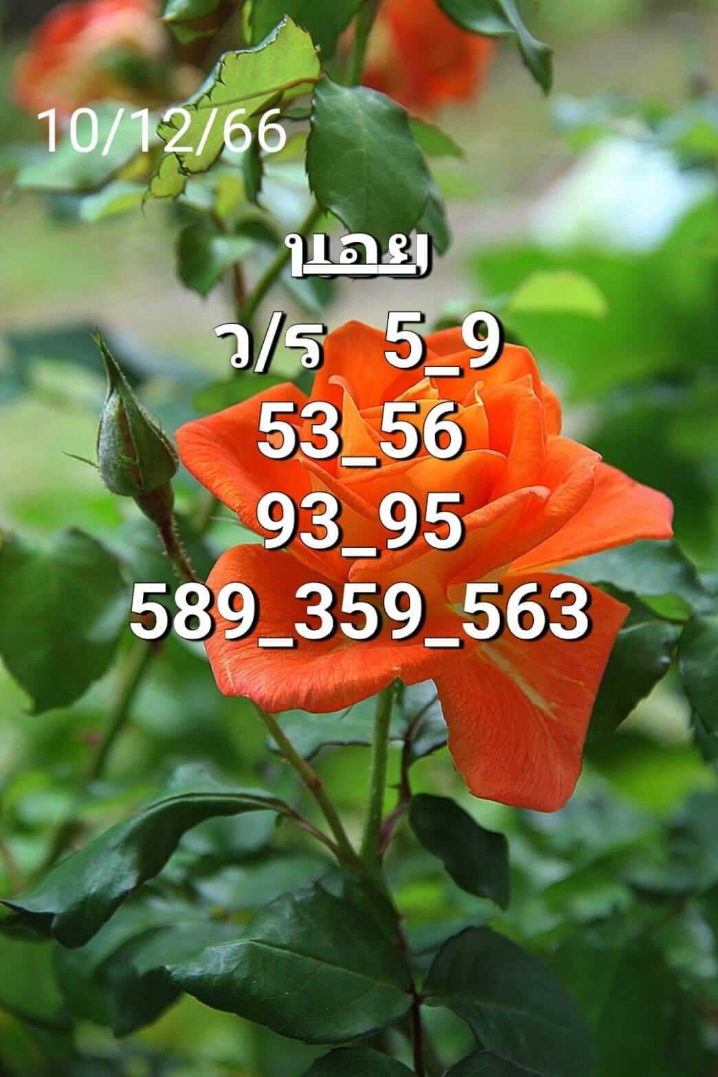 หวยฮานอย 10/12/67 ชุดที่ 10