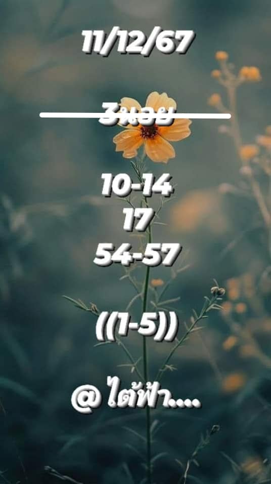 หวยฮานอย 11/12/67 ชุดที่ 2