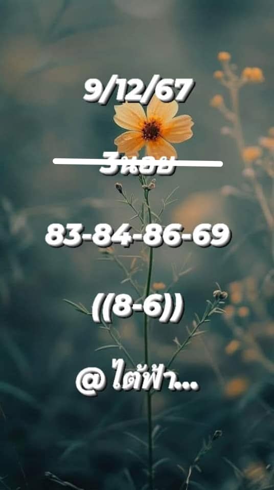 หวยฮานอย 9/12/67 ชุดที่ 6