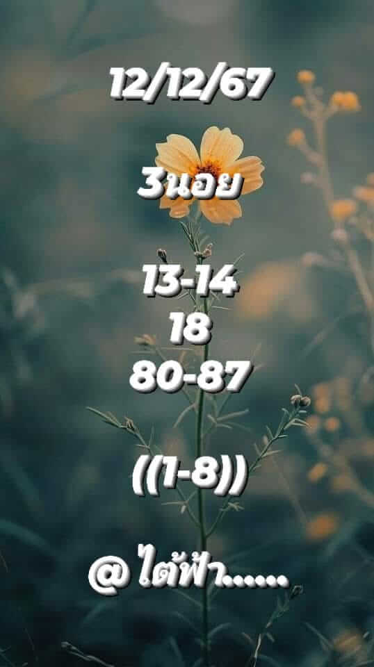 หวยฮานอย 12/12/67 ชุดที่ 8