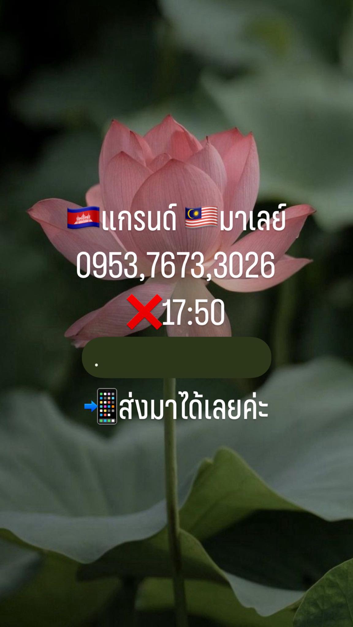 หวยมาเลย์-14-6-68