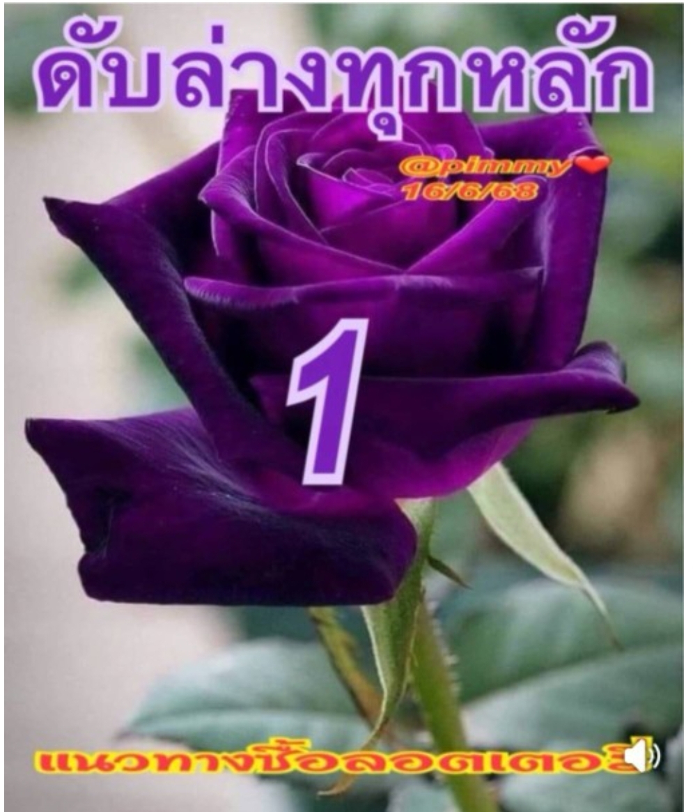 หวยดับทุกหลัก 16/6/68