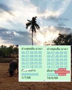 หวยนานา 1/7/68