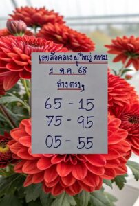 หวยล็อคล่างผู้ใหญ่ กทม. 1/7/68