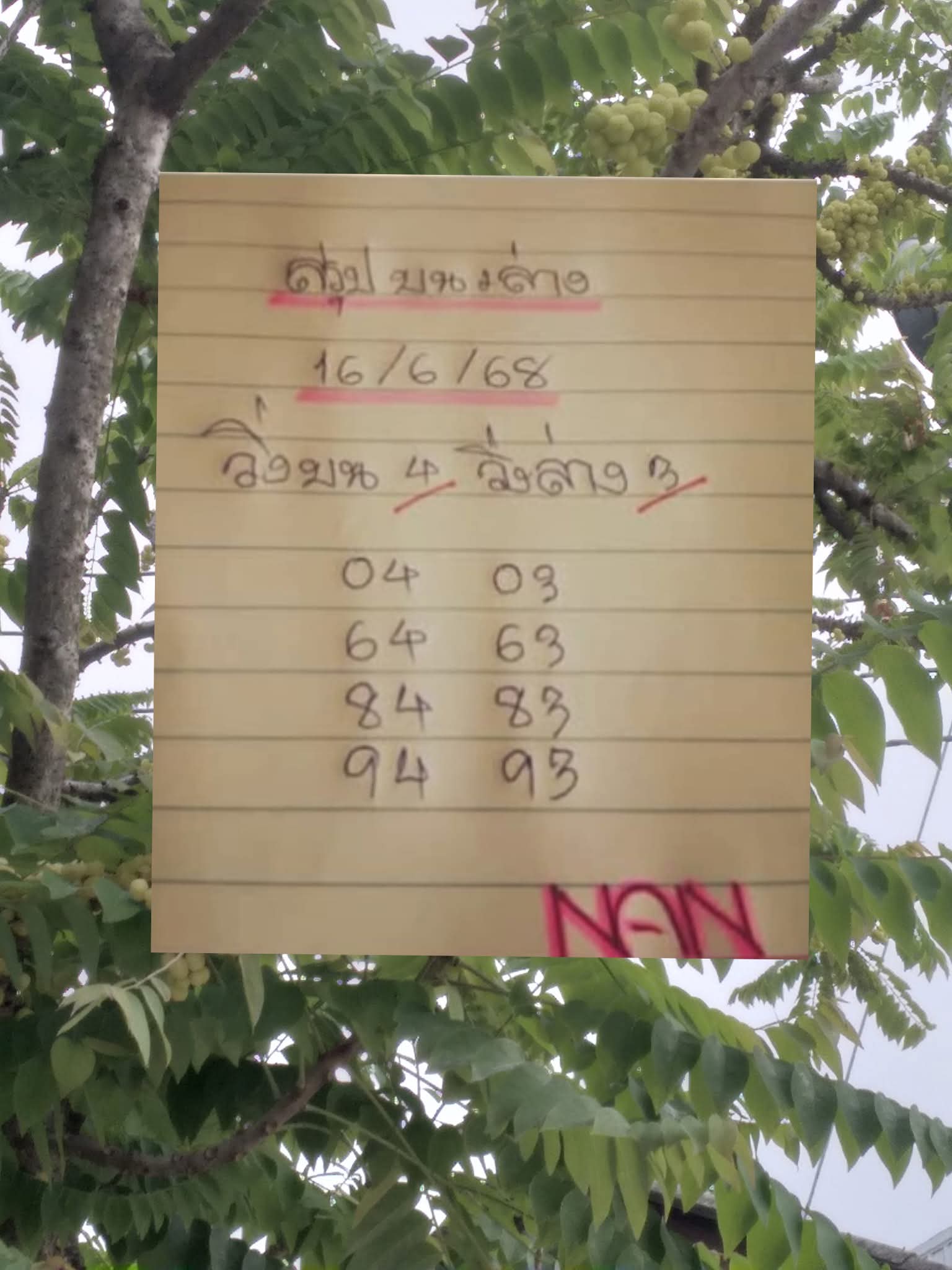 หวยแนน 16/6/68