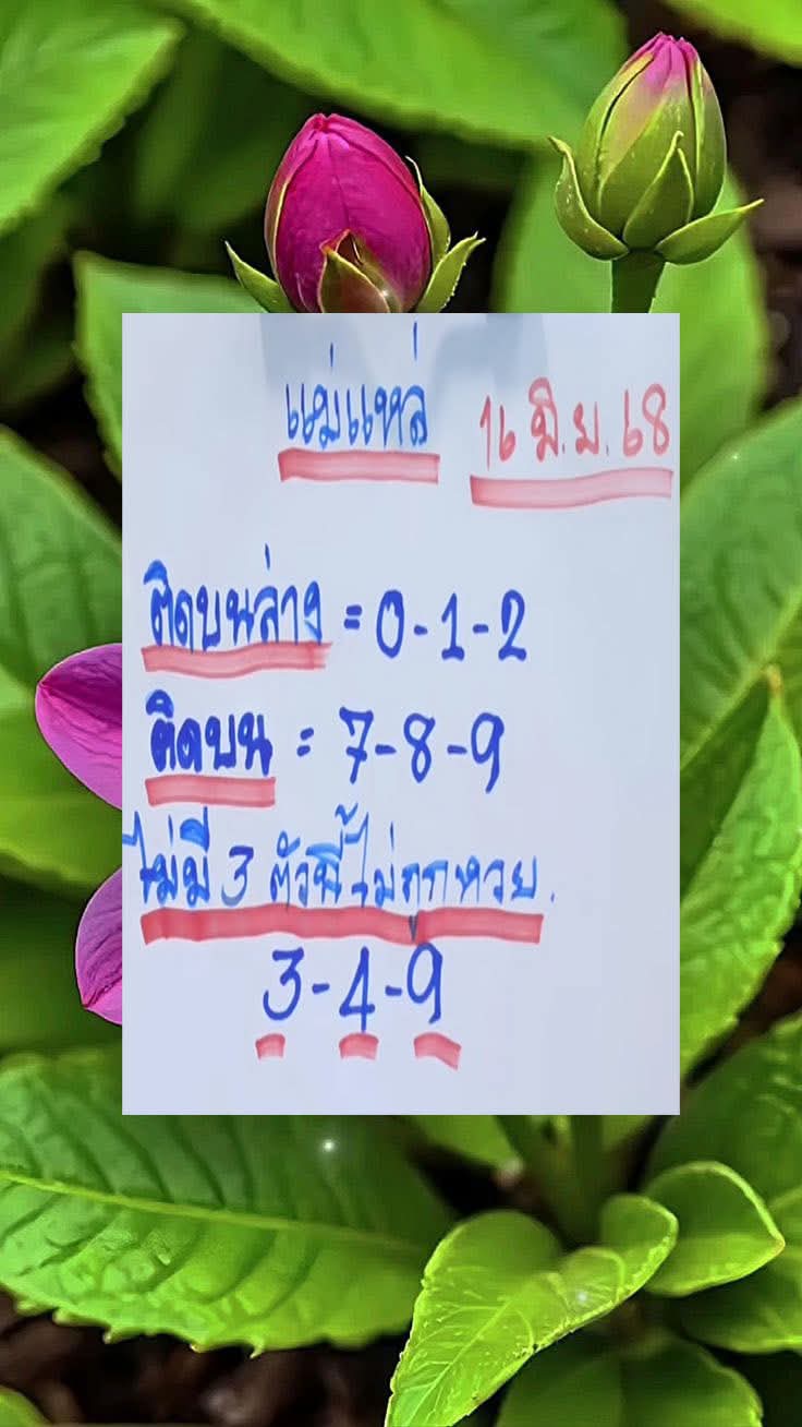 หวยแม่แหล่ 16/6/68