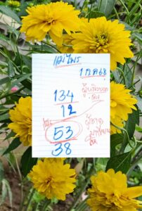 หวยแม่ไพร 1/7/68