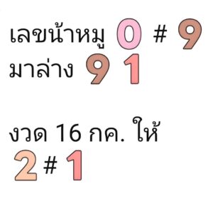 หวยน้าหมู 16/7/68