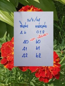 หวยเมืองย่า 16/7/68