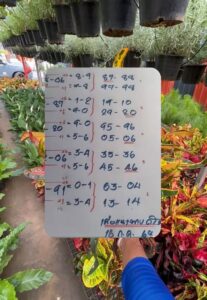 หวยเผื่อแนวทาง 16/7/68