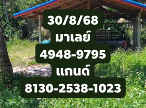 หวยมาเลย์ 30/8/68-2