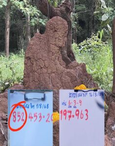 หวยอาจารย์สมจิต 16/8/68
