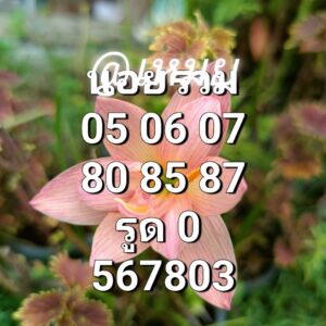 หวยฮานอย-26-8-68-5