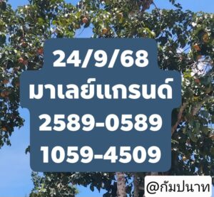 หวยมาเลย์ 24/9/68-4