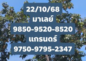 หวยมาเลย์ 22/10/68