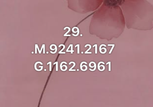 หวยมาเลย์-29-10-68-5