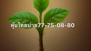 หวยหุ้น-28-10-68-10