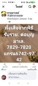 หวยมาเลย์-8-11-68