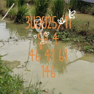 หวยฮานอย 25 11 68 6