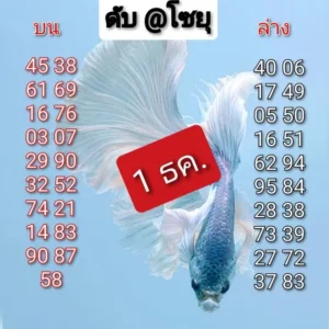 หวยดับล่างโชยุ 1/12/68